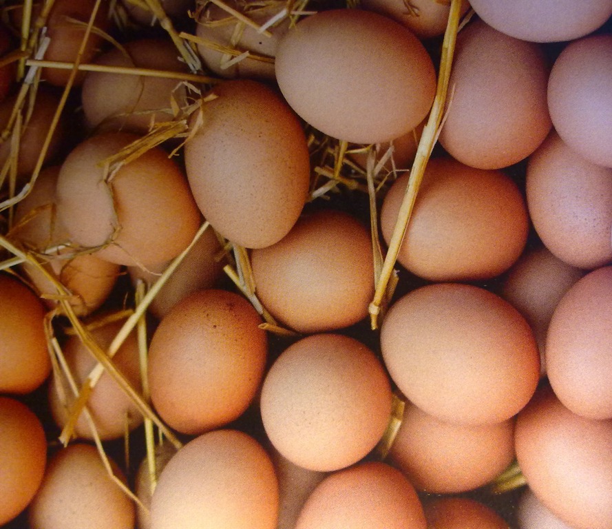 farm-fresh-eggs-2.jpg